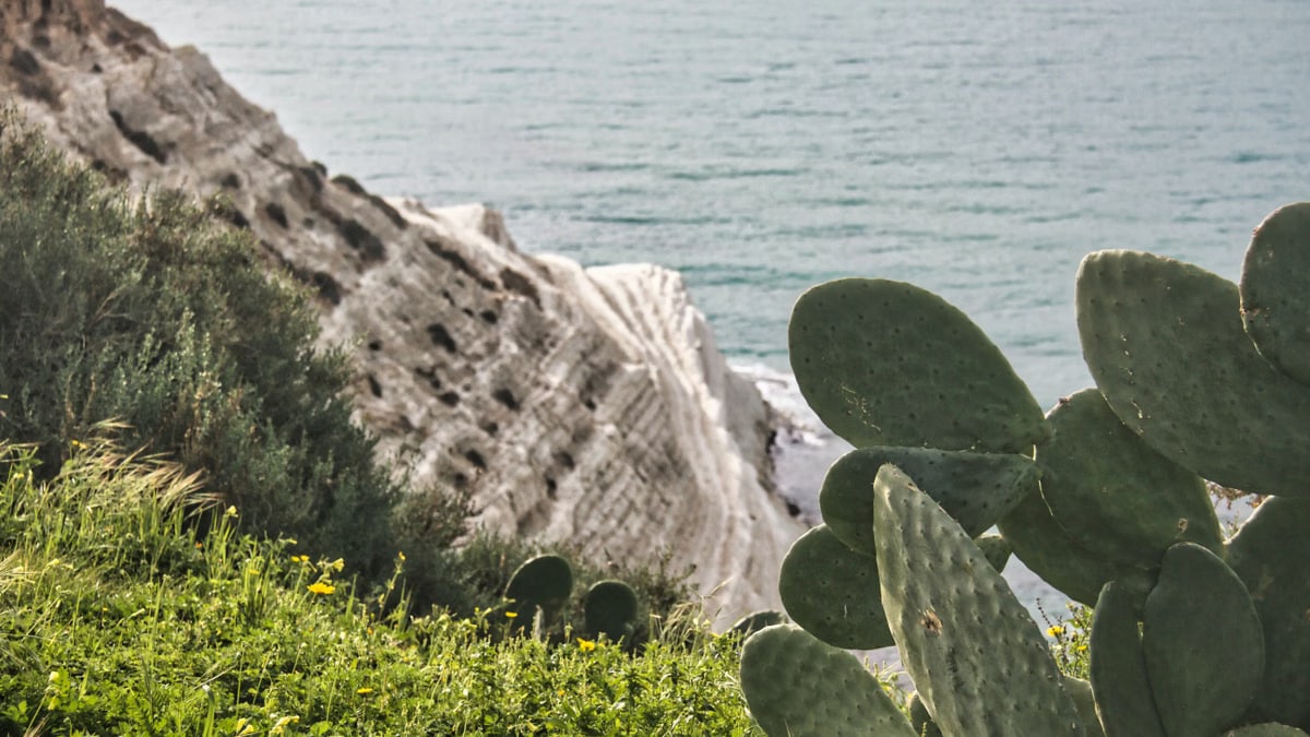 Stunning view of Scala dei Turchi cliffs with lush greenery and the Mediterranean Sea.